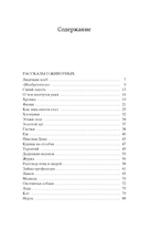 Кладовая солнца — фото, картинка — 19