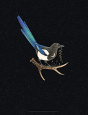 Selcha Uni. Артбук — фото, картинка — 4