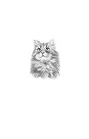 Жадорка. Роман о любви — фото, картинка — 16