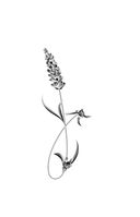 Жадорка. Роман о любви — фото, картинка — 25