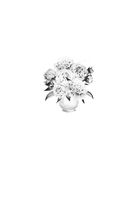 Жадорка. Роман о любви — фото, картинка — 10