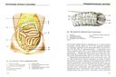 Атлас анатомии человека — фото, картинка — 1