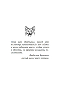 Умница. Корги ведёт расследование — фото, картинка — 5