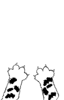 Лапки и когти. Как мягко ставить границы и жестко отражать манипуляции — фото, картинка — 1