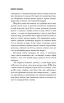 Жизнь насекомых — фото, картинка — 33