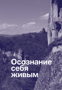 Один на один с жизнью. Книга, которая поможет найти смысл — фото, картинка — 42