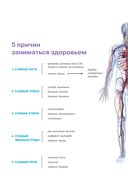 Функциональная анатомия здоровья — фото, картинка — 3