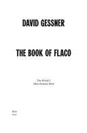 Филин Флако: История самой знаменитой птицы в мире — фото, картинка — 2