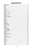 Лучшие изложения с грамматическими заданиями по русскому языку. 1 класс — фото, картинка — 1