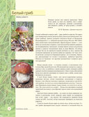 Лесные грибы. Иллюстрированная энциклопедия с рецептами — фото, картинка — 11