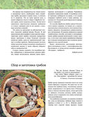 Лесные грибы. Иллюстрированная энциклопедия с рецептами — фото, картинка — 3
