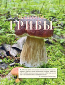 Лесные грибы. Иллюстрированная энциклопедия с рецептами — фото, картинка — 10