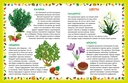 Энциклопедия для малышей. Растения — фото, картинка — 3