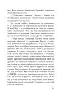 Огненный мост — фото, картинка — 14