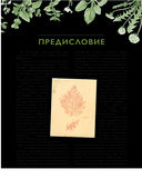 Дикие травы: как найти целебные продукты и создать собственные натуральные лекарства — фото, картинка — 12
