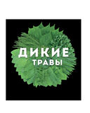 Дикие травы: как найти целебные продукты и создать собственные натуральные лекарства — фото, картинка — 5