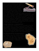 Динозавры. Полный иллюстрированный словарь — фото, картинка — 19