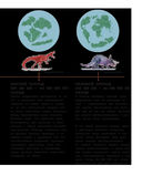 Динозавры. Полный иллюстрированный словарь — фото, картинка — 21