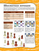 Шахматы для детей — фото, картинка — 3