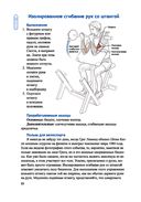 Анатомия велосипедиста — фото, картинка — 9