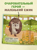 Ёжик и солнечное лето — фото, картинка — 3