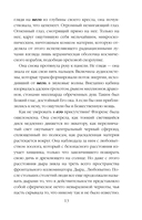 Граница темноты — фото, картинка — 11