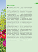 Парки и сады Петербурга. Самые красивые места для отдыха — фото, картинка — 8