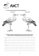 Логоментальные прописи и тренажеры для начальной школы. Птицы — фото, картинка — 5