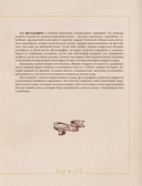 Разговор с бабушкой. Истории и древо семьи — фото, картинка — 5