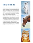 Школа рисования. Домашние животные акварелью — фото, картинка — 2