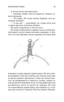 Маленький принц. Южный почтовый. Ночной полет. Планета людей — фото, картинка — 20