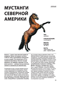 Лошади. Футляр — фото, картинка — 11