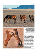 Лошади. Футляр — фото, картинка — 15