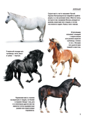 Лошади. Футляр — фото, картинка — 3