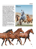 Лошади. Футляр — фото, картинка — 5