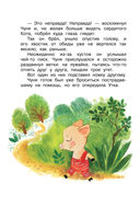 Сказки для маленьких — фото, картинка — 24