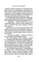 Алая гроздь турмалина — фото, картинка — 18