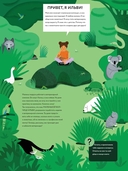 У ветеринара. Как устроена медицина для животных — фото, картинка — 2