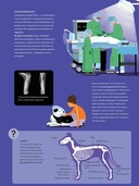 У ветеринара. Как устроена медицина для животных — фото, картинка — 5