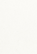 Западная Сибирь. Мифы сказочной тайги — фото, картинка — 2