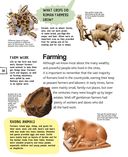 Древний Рим — фото, картинка — 30