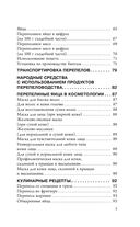 Разведение перепелов для начинающих — фото, картинка — 5