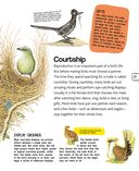 Птицы — фото, картинка — 17