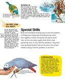 Птицы — фото, картинка — 28