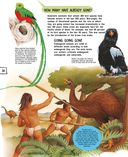 Птицы — фото, картинка — 30