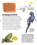 Птицы — фото, картинка — 31