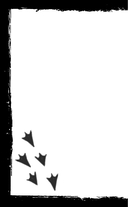 Птенчик. Сборник рассказов — фото, картинка — 8