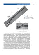 Цифровая схемотехника и архитектура компьютера — фото, картинка — 32