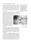 Доминирующий глаз в рисовании. О том, как мы воспринимаем, творим и учимся — фото, картинка — 20