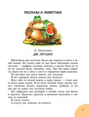 100 рассказов для чтения дома и в детском саду — фото, картинка — 5